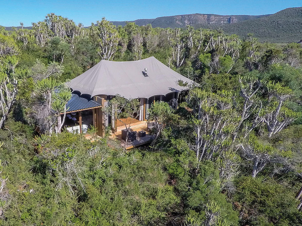 Kariega Game Reserve Settlers Drift Alexandria  Eksteriør billede