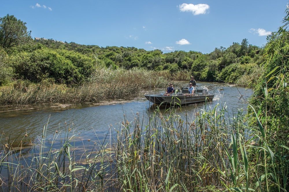 Kariega Game Reserve Settlers Drift Alexandria  Eksteriør billede