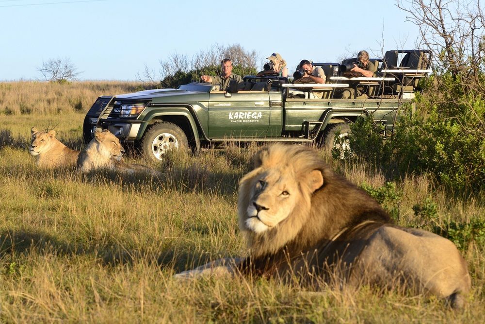 Kariega Game Reserve Settlers Drift Alexandria  Eksteriør billede