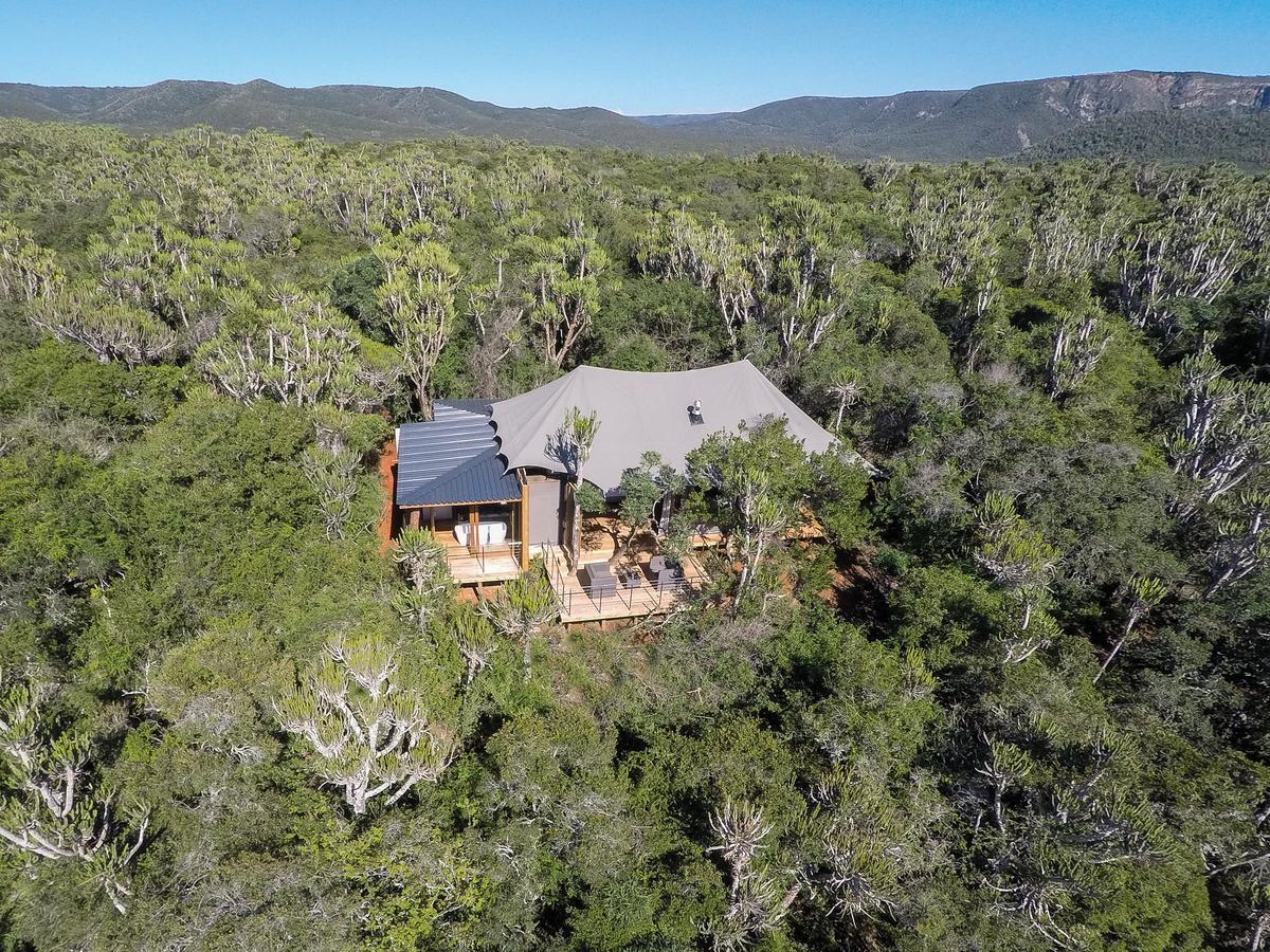 Kariega Game Reserve Settlers Drift Alexandria  Eksteriør billede